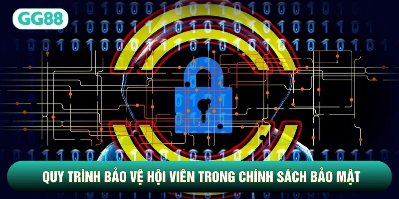 Quy trình bảo vệ hội viên trong chính sách bảo mật