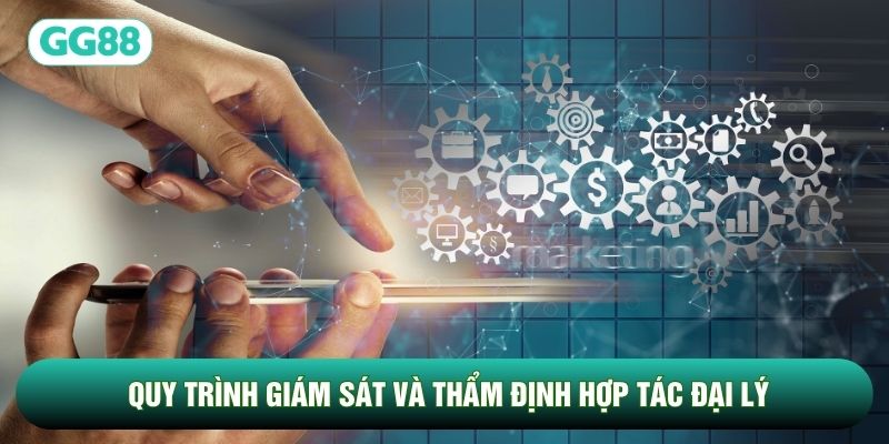 Quy trình giám sát và thẩm định hợp tác đại lý